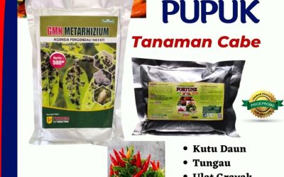 PROMO! 0812-2882-4834 Supplier Obat Hama Tanaman Cabe Jawa Barat, Suplier Obat Cabai Insektisida Soreang, Pusat Obat Insektisida Untuk Cabe Bandung Barat