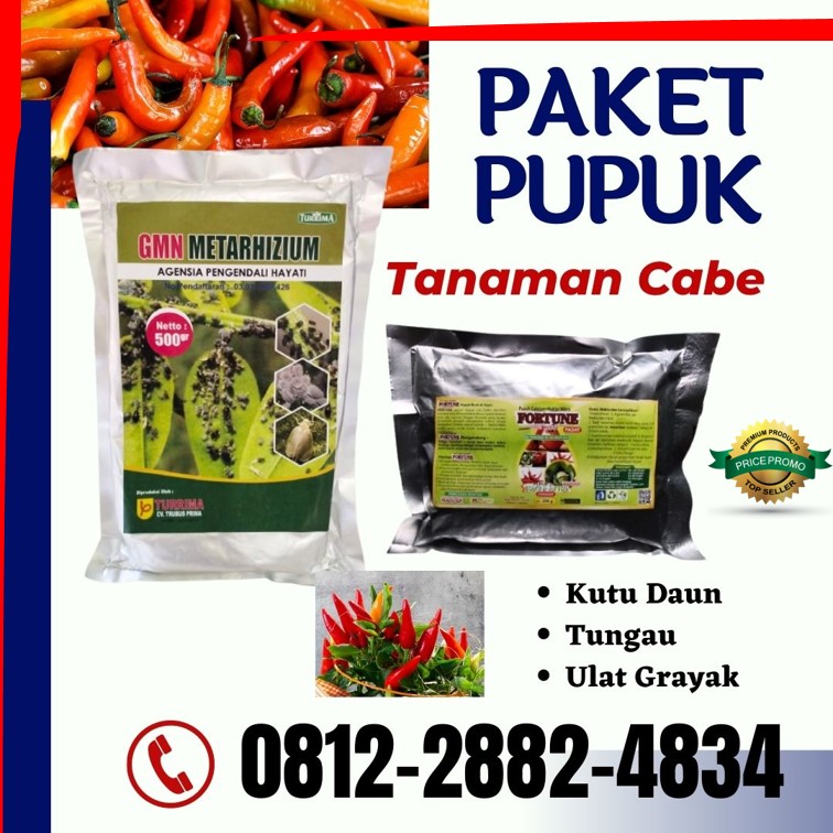 Supplier Obat Hama Tanaman Cabe Jawa Barat, Suplier Obat Cabai Insektisida Soreang, Pusat Obat Insektisida Untuk Cabe Bandung Barat, Distributor Obat Cabe Keriting Paling Ampuh Ngamprah, Produsen Obat Cabe Keriting/Kuning Bekasi, Pabrik Obat Cabe Keriting Alami Cikarang, Agen Obat Cabe Keriting Daun Bogor, Harga Obat Cabe Kuning Daun Cibinong, Grosir Obat Cabe Kerdil Ciamis, Jual Obat Cabai Layu Cianjur