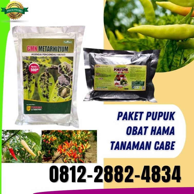 Supplier Obat Ulat Cabe Alami Jawa Timur, Suplier Obat Untuk Cabe Daun Keriting Surabaya, Pusat Obat Ulat Cabe Bangkalan, Distributor Obat Untuk Cabe Banyuwangi, Produsen Obat Untuk Cabe Rontok Kanigoro, Pabrik Obat Wereng Pada Cabe Bojonegoro, Agen Obat Cabe Yang Keriting Bondowoso, Harga Obat Daun Cabe Yang Keriting Gresik, Grosir Obat Tanaman Cabe Yang Layu Jombang, Jual Obat Cabai Kediri