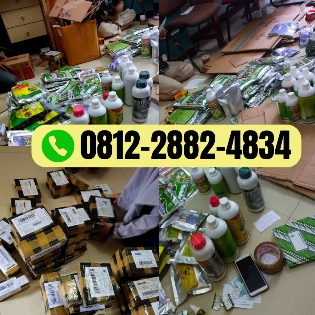 Supplier Pupuk Booster Buah Cabe Kalimantan Timur, Suplier Pupuk Cabe Fase Generatif Samarinda, Pusat Pupuk Cabe Saat Berbuah Paser, Distributor Obat Gulma Tanaman Cabe Paser, Produsen Obat Cabe Insektisida Kutai Kartanegara, Pabrik Obat Jamur Cabe Paling Ampuh Tenggarong, Agen Obat Cabe Merah Keriting Berau, Harga Obat Cabe Merah Busuk Basah Tanjung Redeb, Grosir Obat Cabe Masa Pertumbuhan Kutai Barat, Jual Obat Tungau Cabe Paling Ampuh Sendawar