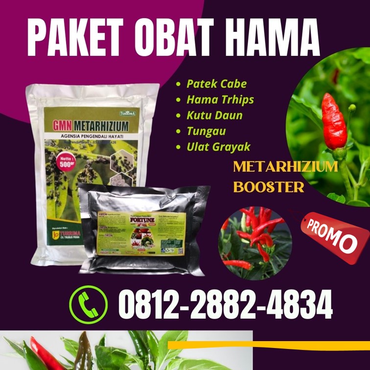 Supplier Pupuk Booster Buah Cabe Kalimantan Timur, Suplier Pupuk Cabe Fase Generatif Samarinda, Pusat Pupuk Cabe Saat Berbuah Paser, Distributor Obat Gulma Tanaman Cabe Paser, Produsen Obat Cabe Insektisida Kutai Kartanegara, Pabrik Obat Jamur Cabe Paling Ampuh Tenggarong, Agen Obat Cabe Merah Keriting Berau, Harga Obat Cabe Merah Busuk Basah Tanjung Redeb, Grosir Obat Cabe Masa Pertumbuhan Kutai Barat, Jual Obat Tungau Cabe Paling Ampuh Sendawar