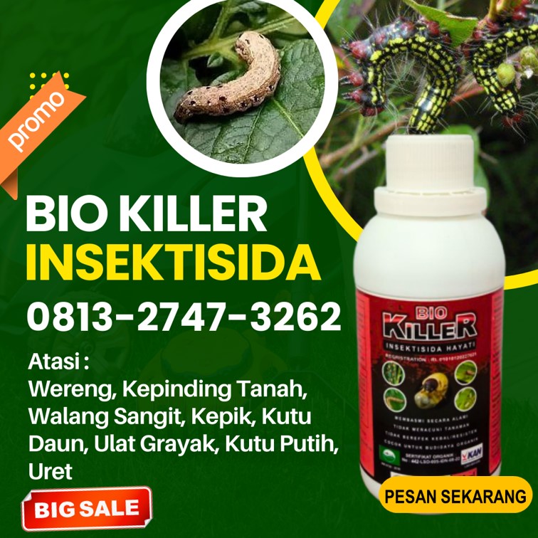 Agen Obat Ulat Daun Jagung Sukadana, Harga Obat Ulat Daun Alpukat Way Kanan, Grosir Obat Ulat Dalam Batang Padi Blambangan Umpu, Jual Obat Ulat Grayak Pesawaran
