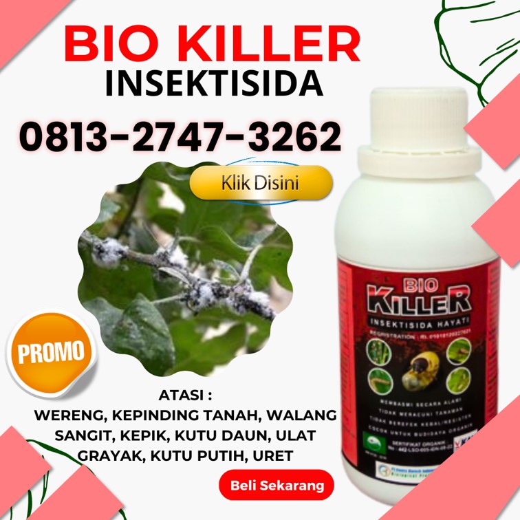 Supplier Obat Ulat Tanah Paling Ampuh Kota Jambi, Suplier Obat Wereng Dan Ulat Kota Sungai Penuh, Pusat Obat Ulat Kacang Panjang Kerinci, Distributor Obat Ulat Kembang Kol Siulak