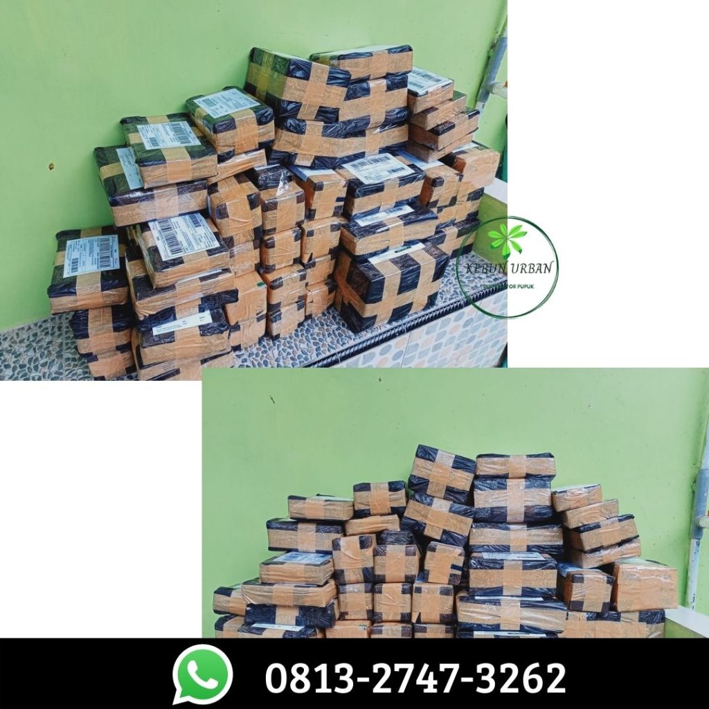 Agen Pupuk Npk Fase Generatif Purwakarta, Harga Pupuk Organik Pelebat Jambu Sukabumi, Grosir Obat Jambu Masa Vegetatif Tasikmalaya, Jual Paket Pupuk Jambu Cirebon