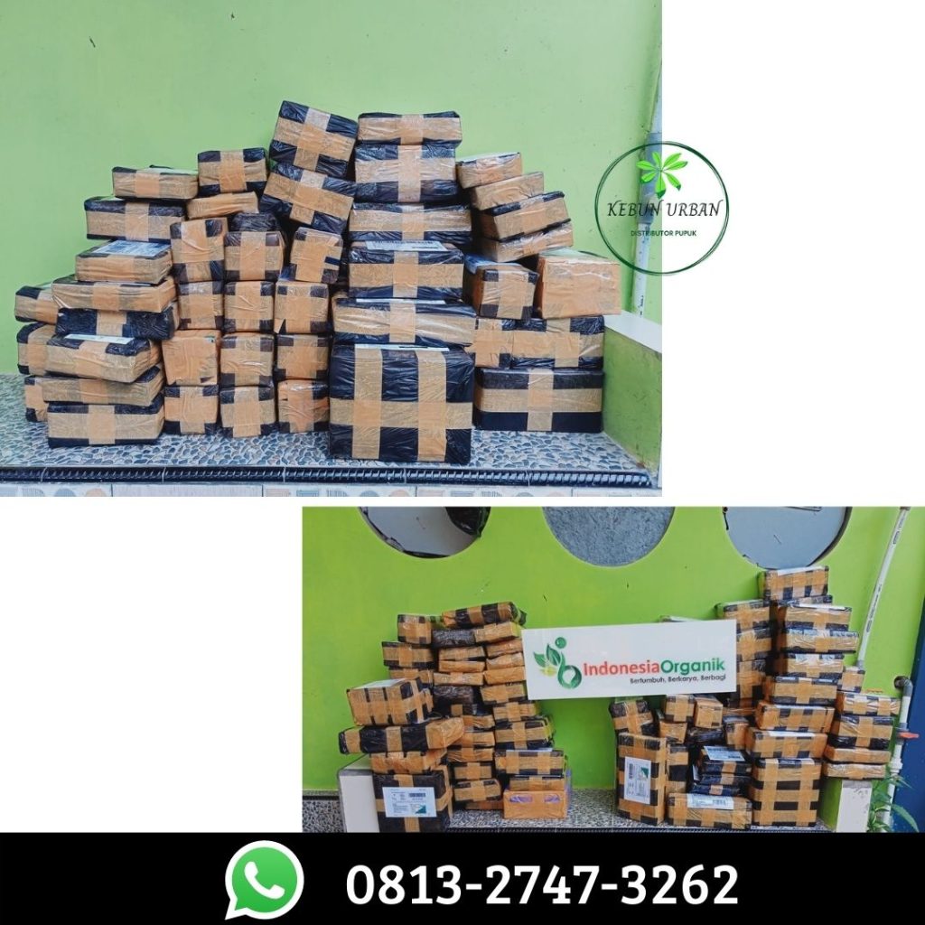 Agen Paket Obat Tanaman Jagung Lampung Tengah, Harga Paket Obat Tanaman Jeruk Lampung Utara, Grosir Obat Tanaman Jambu Kristal Kotabumi, Jual Paket Obat Tanaman Jambu Air Lampung Barat