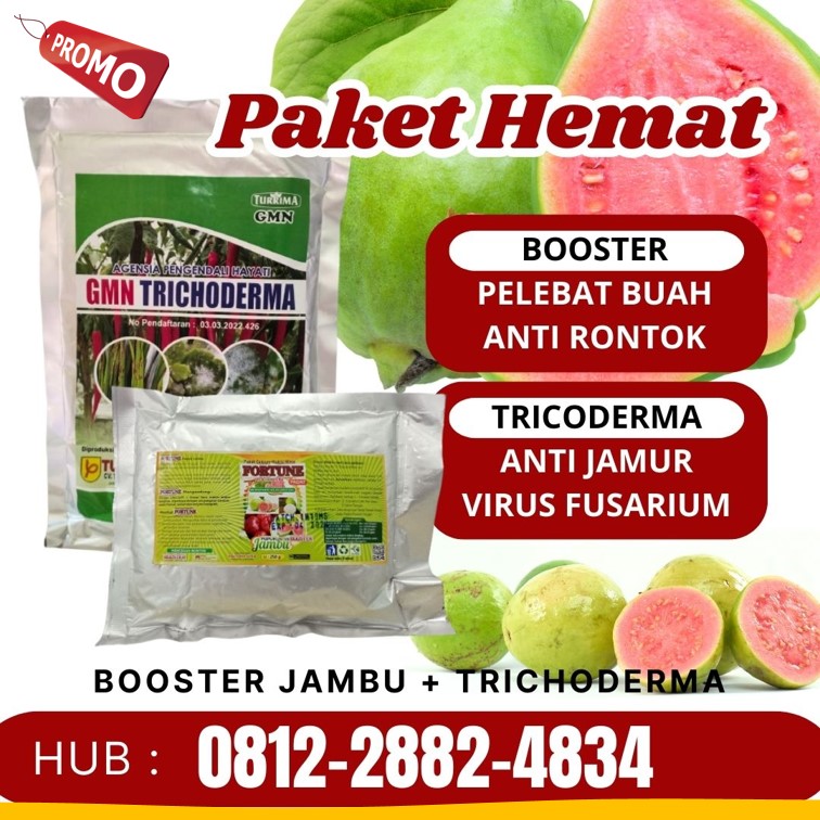 Distributor Obat Ulat Banda Aceh, Produsen Obat Ulat Bulu Aceh Barat, Pabrik Obat Ulat Padi Meulaboh, Agen Obat Ulat Cabe Paling Ampuh Aceh Barat Daya, Harga Obat Ulat Daun Blangpidie, Grosir Obat Ulat Paling Ampuh Aceh Besar, Jual Obat Ulat Alpukat Kota Jantho, Supplier Obat Ulat Alami Aceh Jaya, Suplier Obat Ulat Ampuh Calang, Pusat Obat Ulat Jagung Paling Ampuh Aceh Selatan