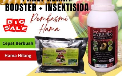PROMO! 0812-2882-4834, Distributor Paket Obat Tanaman Anggur Nusa Tenggara Timur, Produsen Obat Tanaman Anti Ulat Kupang, Pabrik Paket Obat Tanaman Alami Timor Tengah Selatan