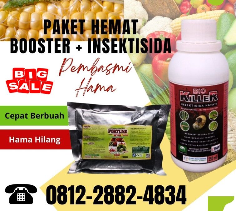 PROMO! 0812-2882-4834, Distributor Paket Obat Tanaman Anggur Nusa Tenggara Timur, Produsen Obat Tanaman Anti Ulat Kupang, Pabrik Paket Obat Tanaman Alami Timor Tengah Selatan