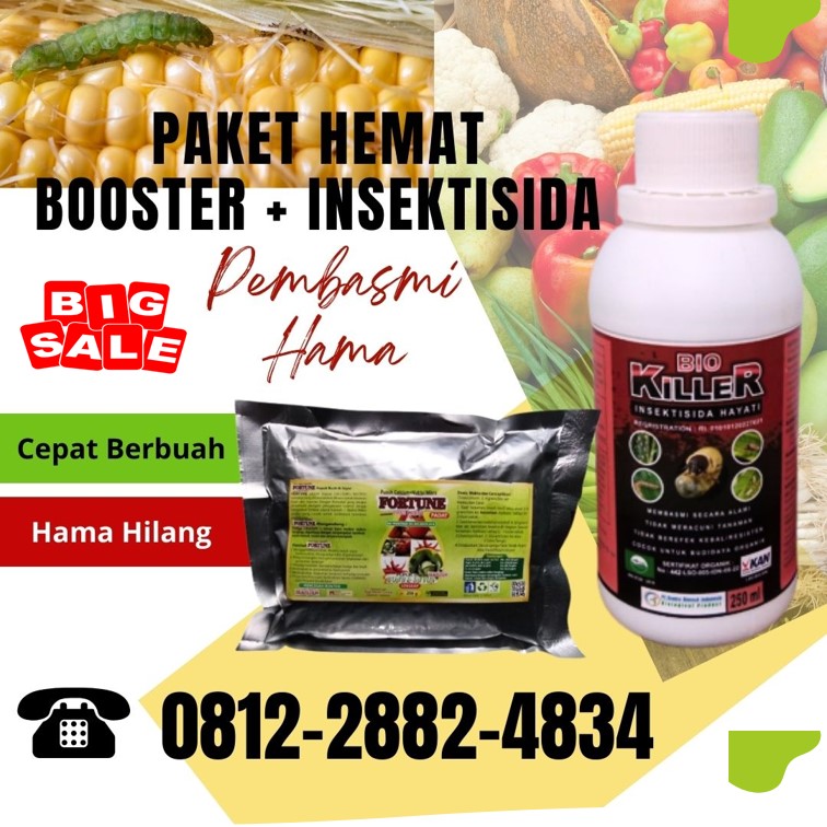 Distributor Paket Obat Tanaman Anggur Nusa Tenggara Timur, Produsen Obat Tanaman Anti Ulat Kupang, Pabrik Paket Obat Tanaman Alami Timor Tengah Selatan, Agen Obat Tanaman Biar Subur Timor Tengah Utara, Harga Paket Obat Tanaman Buah Alor, Grosir Obat Tanaman Cabe Keriting Kalabahi, Jual Obat Tanaman Kacang Panjang Ende, Supplier Obat Tanaman Kentang Ende, Suplier Obat Tanaman Kacang Hijau Malaka, Pusat Paket Obat Tanaman Sayuran Kota Kupang
