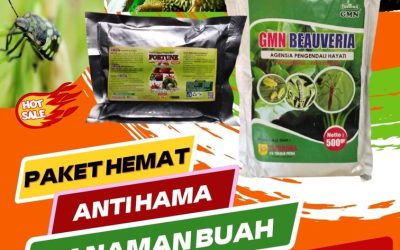 PROMO! 0812-2882-4834, Pusat Pupuk Pepaya Lampung, Distributor Pupuk Pepaya Di Musim Hujan Lampung Selatan, Produsen Pupuk Pepaya California Kalianda