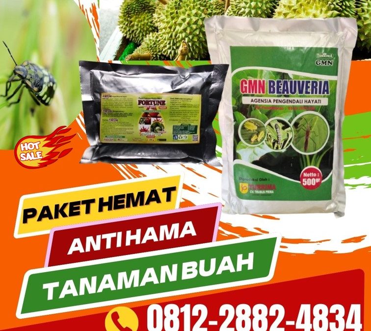 PROMO! 0812-2882-4834, Pusat Pupuk Pepaya Lampung, Distributor Pupuk Pepaya Di Musim Hujan Lampung Selatan, Produsen Pupuk Pepaya California Kalianda
