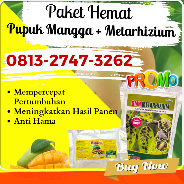 Suplier Obat Pembasmi Ulat Mangga Kota Probolinggo, Pusat Pupuk Mangga Madu Jawa Timur, Distributor Pupuk Untuk Buah Mangga Dalam Pot Surabaya, Produsen Pupuk Penyubur Daun Mangga Bangkalan