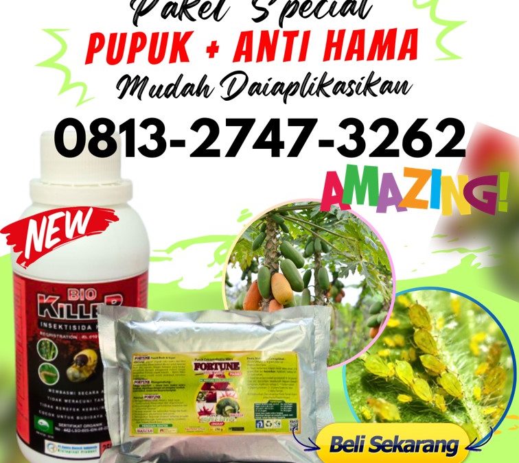 TERBAIK! 0813-2747-3262, Agen Paket Obat Tanaman Jagung Lampung Tengah, Harga Paket Obat Tanaman Jeruk Lampung Utara, Grosir Obat Tanaman Jambu Kristal Kotabumi