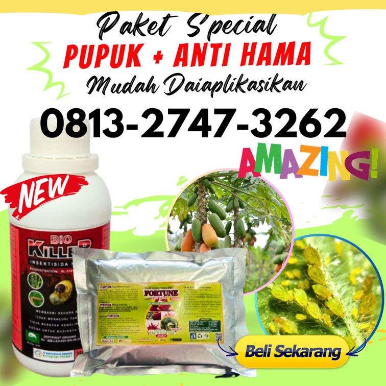 Agen Paket Obat Tanaman Jagung Lampung Tengah, Harga Paket Obat Tanaman Jeruk Lampung Utara, Grosir Obat Tanaman Jambu Kristal Kotabumi, Jual Paket Obat Tanaman Jambu Air Lampung Barat