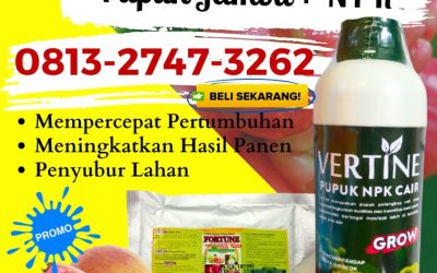 TERBAIK! 0813-2747-3262 Agen Pupuk Npk Fase Generatif Purwakarta, Harga Pupuk Organik Pelebat Jambu Sukabumi, Grosir Obat Jambu Masa Vegetatif Tasikmalaya