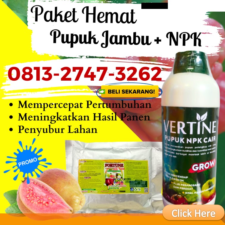 Agen Pupuk Npk Fase Generatif Purwakarta, Harga Pupuk Organik Pelebat Jambu Sukabumi, Grosir Obat Jambu Masa Vegetatif Tasikmalaya, Jual Paket Pupuk Jambu Cirebon