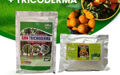 PROMO! 0812-2882-4834 Produsen Obat Jeruk Sumatera Utara, Pabrik Obat Jeruk Biar Berbuah Lebat Medan, Agen Obat Agar Jeruk Cepat Berbuah Tapanuli Tengah