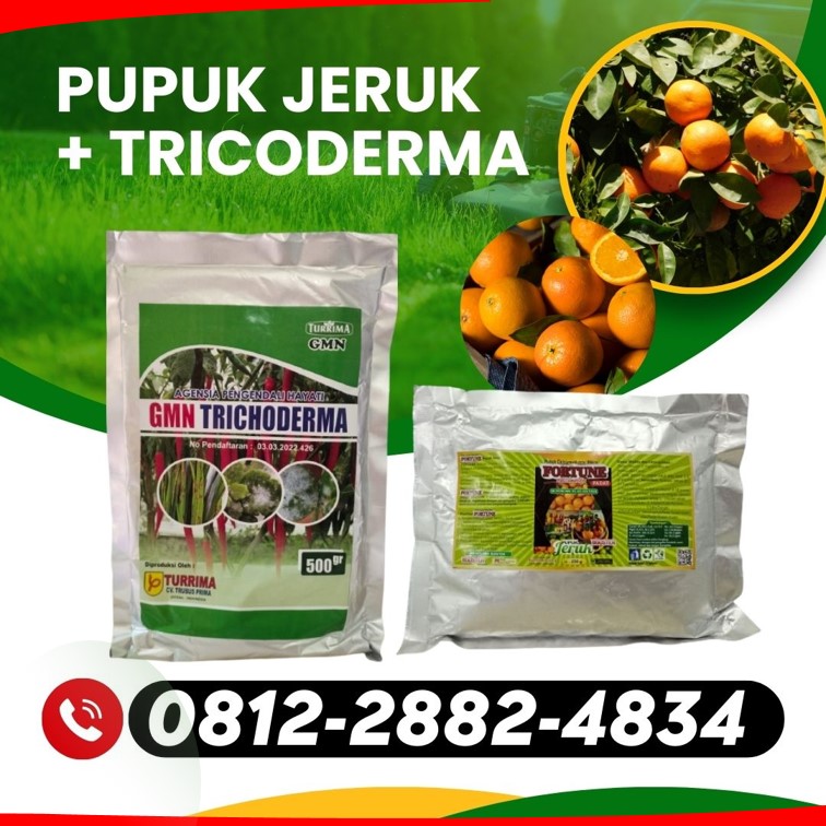 PROMO! 0812-2882-4834 Produsen Obat Jeruk Sumatera Utara, Pabrik Obat Jeruk Biar Berbuah Lebat Medan, Agen Obat Agar Jeruk Cepat Berbuah Tapanuli Tengah