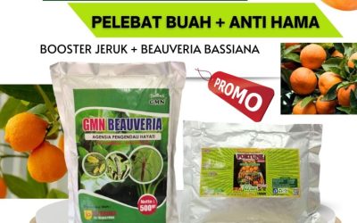 PROMO!, 0812-2882-4834 Produsen Paket Obat Hama Jeruk Medan, Pabrik Paket Obat Hama Jeruk Nipis Tapanuli Tengah, Agen Paket Obat Hama Daun Jeruk Pandan