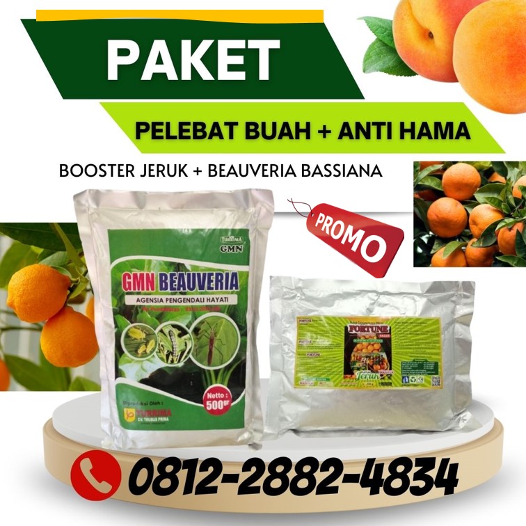 Produsen Paket Obat Hama Jeruk Medan, Pabrik Paket Obat Hama Jeruk Nipis Tapanuli Tengah, Agen Paket Obat Hama Daun Jeruk Pandan, Harga Paket Obat Hama Untuk Pohon Jeruk Tapanuli Utara, Grosir Paket Obat Pembasmi Hama Jeruk Tarutung, Jual Pupuk Jeruk Tapanuli Selatan, Supplier Pupuk Jeruk Santang Madu Sipirok, Suplier Pupuk Jeruk Agar Cepat Berbuah Nias, Pusat Pupuk Jeruk Nipis Gunungsitoli, Distributor Pupuk Jeruk Manis Langkat
