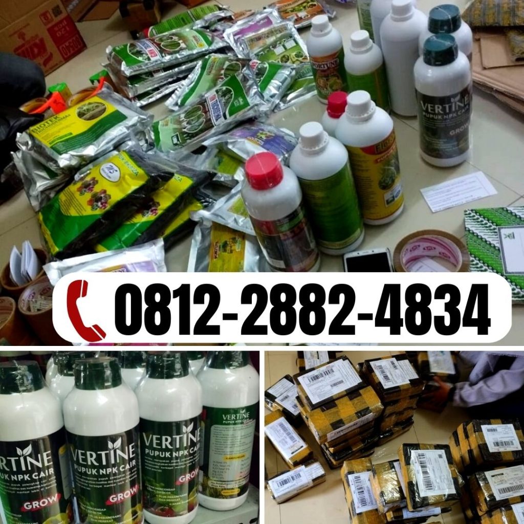 Suplier Pupuk Alpukat Agar Cepat Berbuah Semarang, Pusat Pupuk Alpukat Agar Tidak Rontok Brebes, Distributor Paket Pupuk Alpukat Saat Berbunga Cilacap, Produsen Paket Pupuk Alpukat Terbaik Demak, Pabrik Pupuk Alpukat Masa Vegetatif Jepara, Agen Pupuk Alpukat Agar Cepat Besar Grobogan, Harga Pupuk Agar Alpukat Berbuah Lebat Kebumen, Grosir Pupuk Alami Untuk Alpukat Kendal, Jual Paket Pupuk Buah Alpukat Cilacap, Supplier Pupuk Booster Alpukat Kudus