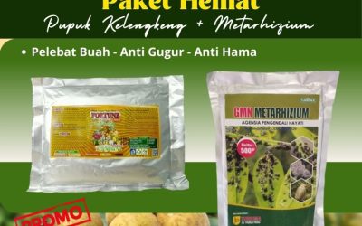 PROMO!, 0812-2882-4834 Supplier Pupuk Kelengkeng Jawa Timur, Suplier Pupuk Kelengkeng Agar Cepat Berbuah Surabaya, Pusat Pupuk Kelengkeng Cepat Berbuah Bangkalan