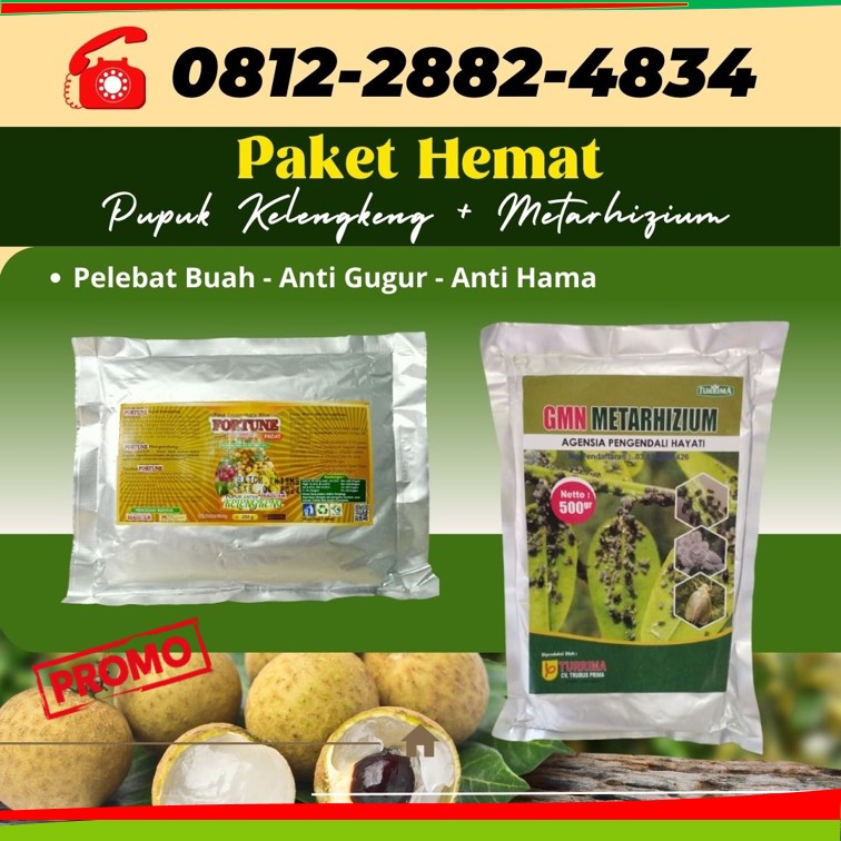 Supplier Pupuk Kelengkeng Jawa Timur, Suplier Pupuk Kelengkeng Agar Cepat Berbuah Surabaya, Pusat Pupuk Kelengkeng Cepat Berbuah Bangkalan, Distributor Pupuk Kelengkeng Agar Cepat Besar Banyuwangi, Produsen Pupuk Kelengkeng Saat Berbunga Blitar, Pabrik Pupuk Kelengkeng Matalada Kanigoro, Agen Pupuk Buah Kelengkeng Bojonegoro, Harga Pupuk Untuk Kelengkeng Bondowoso, Grosir Pupuk Kelengkeng Booster Gresik, Jual Pupuk Buat Kelengkeng Jember