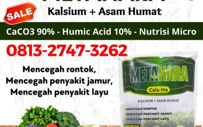 AMPUH! 0813-2747-3262, Supplier Pupuk Supaya Buah Tidak Rontok Lampung Selatan, Suplier Pupuk Petai Agar Tidak Rontok Kalianda, Pusat Pupuk Agar Buah Tidak Rontok Lampung Tengah