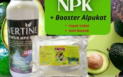 AMPUH! 0812-2882-4834 Pusat Pupuk Alpukat Agar Tidak Rontok Brebes, Distributor Paket Pupuk Alpukat Saat Berbunga Cilacap, Produsen Paket Pupuk Alpukat Terbaik Demak