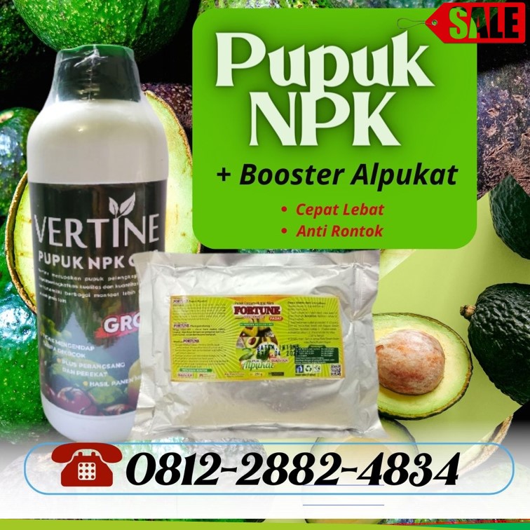 Pusat Pupuk Alpukat Agar Tidak Rontok Brebes, Distributor Paket Pupuk Alpukat Saat Berbunga Cilacap, Produsen Paket Pupuk Alpukat Terbaik Demak, Pabrik Pupuk Alpukat Masa Vegetatif Jepara, Agen Pupuk Alpukat Agar Cepat Besar Grobogan, Harga Pupuk Agar Alpukat Berbuah Lebat Kebumen, Grosir Pupuk Alami Untuk Alpukat Kendal, Jual Paket Pupuk Buah Alpukat Cilacap, Supplier Pupuk Booster Alpukat Kudus, Suplier Pupuk Untuk Alpukat Baru Tanam Magelang