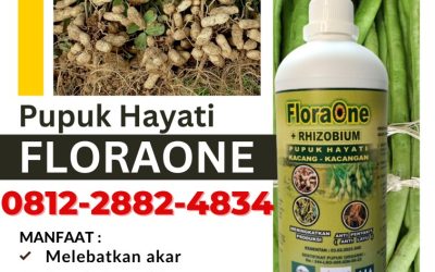AMPUH! 0812-2882-4834, Pusat Pupuk Kacang Benteng, Distributor Pupuk Kacang Tanah Bulukumba, Produsen Pupuk Kacang Panjang Masamba
