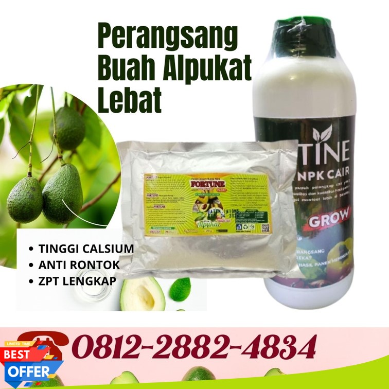 Suplier Pupuk Alpukat Agar Cepat Berbuah Semarang, Pusat Pupuk Alpukat Agar Tidak Rontok Brebes, Distributor Paket Pupuk Alpukat Saat Berbunga Cilacap, Produsen Paket Pupuk Alpukat Terbaik Demak, Pabrik Pupuk Alpukat Masa Vegetatif Jepara, Agen Pupuk Alpukat Agar Cepat Besar Grobogan, Harga Pupuk Agar Alpukat Berbuah Lebat Kebumen, Grosir Pupuk Alami Untuk Alpukat Kendal, Jual Paket Pupuk Buah Alpukat Cilacap, Supplier Pupuk Booster Alpukat Kudus