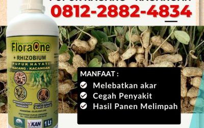 DISKON! 0812-2882-4834, Suplier Pupuk Hayati Rhizobium Kepulauan Selayar, Pusat Pupuk Kacang Benteng, Distributor Pupuk Kacang Tanah Bulukumba