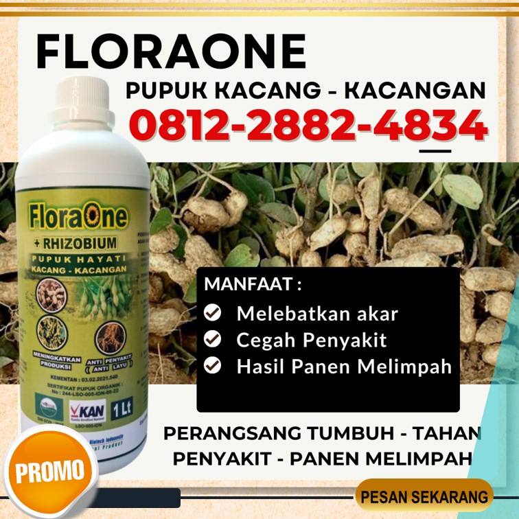 Suplier Pupuk Hayati Rhizobium Kepulauan Selayar, Pusat Pupuk Kacang Benteng, Distributor Pupuk Kacang Tanah Bulukumba, Produsen Pupuk Kacang Panjang Masamba, Pabrik Pupuk Kacang Tanah Berbuah Lebat Bantaeng, Agen Pupuk Kacang Buncis Jeneponto, Harga Pupuk Kacang Hijau Bontosunggu, Grosir Pupuk Kacang Kedelai Takalar, Jual Pupuk Kacang Merah Pattallassang, Supplier Pupuk Rhizobium Gowa