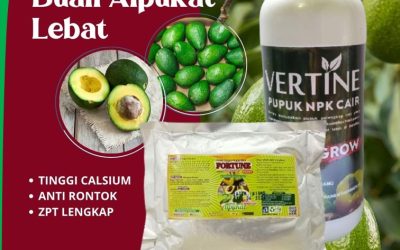 PROMO! 0812-2882-4834 Supplier Paket Pupuk Alpukat Jawa Tengah, Suplier Pupuk Alpukat Agar Cepat Berbuah Semarang, Pusat Pupuk Alpukat Agar Tidak Rontok Brebes