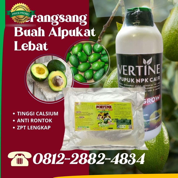 Supplier Paket Pupuk Alpukat Jawa Tengah, Suplier Pupuk Alpukat Agar Cepat Berbuah Semarang, Pusat Pupuk Alpukat Agar Tidak Rontok Brebes, Distributor Paket Pupuk Alpukat Saat Berbunga Cilacap, Produsen Paket Pupuk Alpukat Terbaik Demak, Pabrik Pupuk Alpukat Masa Vegetatif Jepara, Agen Pupuk Alpukat Agar Cepat Besar Grobogan, Harga Pupuk Agar Alpukat Berbuah Lebat Kebumen, Grosir Pupuk Alami Untuk Alpukat Kendal, Jual Paket Pupuk Buah Alpukat Cilacap