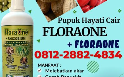 PROMO! 0812-2882-4834, Supplier Pupuk Rhizobium Makassar, Suplier Pupuk Hayati Rhizobium Kepulauan Selayar, Pusat Pupuk Kacang Benteng