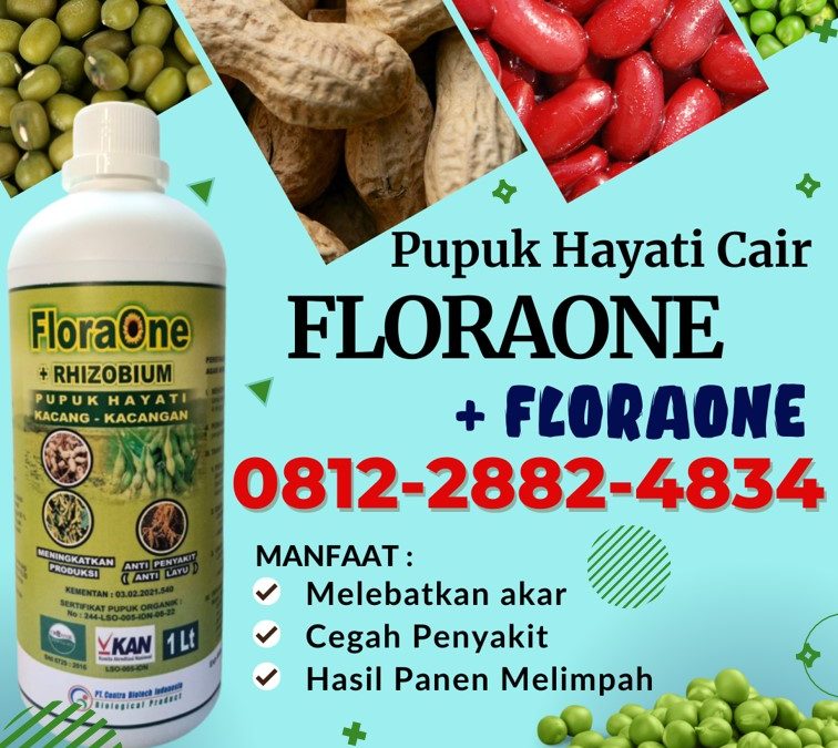 PROMO! 0812-2882-4834, Supplier Pupuk Rhizobium Makassar, Suplier Pupuk Hayati Rhizobium Kepulauan Selayar, Pusat Pupuk Kacang Benteng