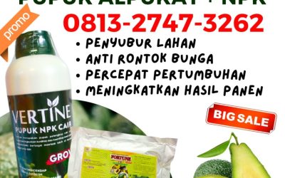 AMPUH! 0813-2747-3262 Supplier Pupuk Alpukat Umur 1 Tahun Kota Surakarta, Suplier Pupuk Alpukat Umur 2 Tahun Kota Tegal, Pusat Pupuk Vegetatif Alpukat Banjarmangu