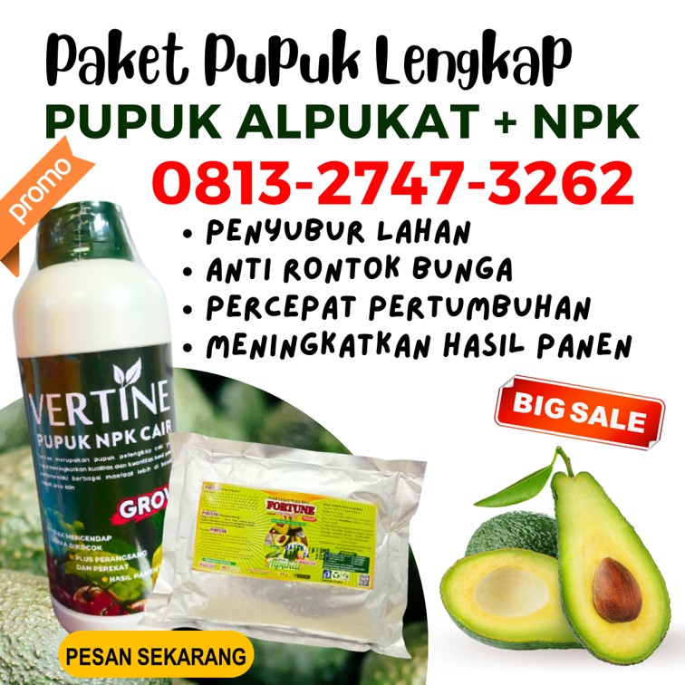 Supplier Pupuk Alpukat Umur 1 Tahun Kota Surakarta, Suplier Pupuk Alpukat Umur 2 Tahun Kota Tegal, Pusat Pupuk Vegetatif Alpukat Banjarmangu, Distributor Paket Pupuk Npk + Booster Batur