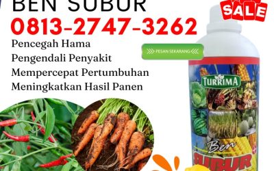 AMPUH! 0813-2747-3262 Supplier Pupuk Organik Tais, Suplier Pupuk Organik Anggur Mukomuko, Pusat Pupuk Organik Buah Mukomuko