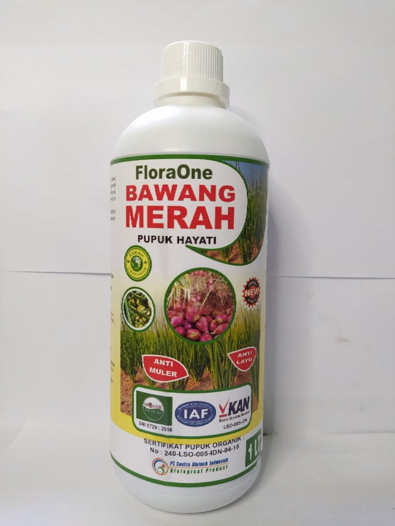Jual Fungisida Bawang Merah Purwodadi, Supplier Pupuk Bawang Jawa Tengah, Suplier Pupuk Bawang Merah Semarang, Pusat Obat Bawang Daun Kuning Brebes
