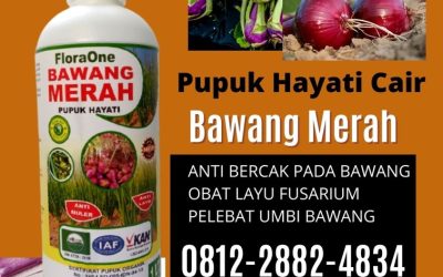 TERBUKTI! 0812-2882-4834 Produsen Pupuk Bawang Daun Demak, Pabrik Pupuk Bawang Daun Musim Hujan Jepara, Agen Obat Lodoh Bawang Merah Grobogan