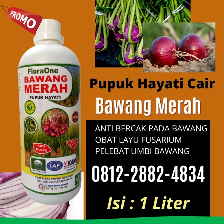 Produsen Pupuk Bawang Daun Demak, Pabrik Pupuk Bawang Daun Musim Hujan Jepara, Agen Obat Lodoh Bawang Merah Grobogan, Harga Obat Bawang Merah Daun Layu Kebumen, Grosir Fungisida Untuk Embun Tepung Bawang Merah Kendal, Jual Fungisida Layu Fusarium Bawang Merah Cilacap, Supplier Pupuk Alami Bawang Merah Kudus, Suplier Pupuk Buat Bawang Daun Magelang, Pusat Obat Daun Bawang Merah Yang Bagus Mungkid, Distributor Obat Bawang Daun Pati