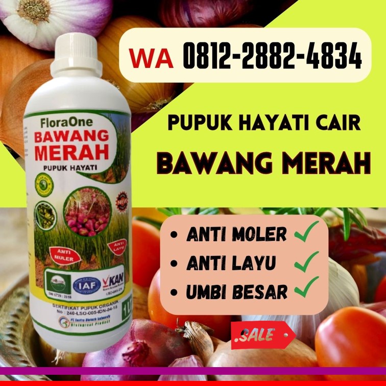 Pusat Obat Bawang Daun Kuning Brebes, Distributor Obat Penyubur Daun Bawang Merah Cilacap, Produsen Pupuk Bawang Daun Demak, Pabrik Pupuk Bawang Daun Musim Hujan Jepara, Agen Obat Lodoh Bawang Merah Grobogan, Harga Obat Bawang Merah Daun Layu Kebumen, Grosir Fungisida Untuk Embun Tepung Bawang Merah Kendal, Jual Fungisida Layu Fusarium Bawang Merah Cilacap, Supplier Pupuk Alami Bawang Merah Kudus, Suplier Pupuk Buat Bawang Daun Magelang