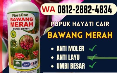 PROMO! 0812-2882-4834 Supplier Pupuk Bawang Jawa Tengah, Suplier Pupuk Bawang Merah Semarang, Pusat Obat Bawang Daun Kuning Brebes