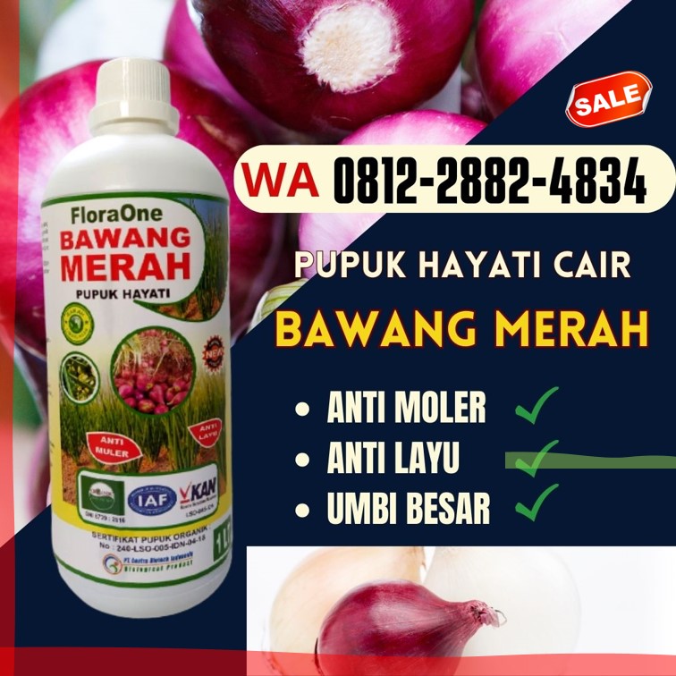 Supplier Pupuk Bawang Jawa Tengah, Suplier Pupuk Bawang Merah Semarang, Pusat Obat Bawang Daun Kuning Brebes, Distributor Obat Penyubur Daun Bawang Merah Cilacap, Produsen Pupuk Bawang Daun Demak, Pabrik Pupuk Bawang Daun Musim Hujan Jepara, Agen Obat Lodoh Bawang Merah Grobogan, Harga Obat Bawang Merah Daun Layu Kebumen, Grosir Fungisida Untuk Embun Tepung Bawang Merah Kendal, Jual Fungisida Layu Fusarium Bawang Merah Cilacap