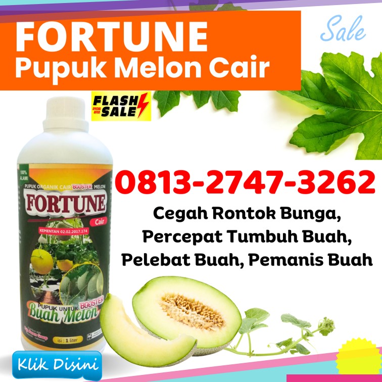 Jual Pupuk Untuk Melon Yang Bagus Tegal, Supplier Pupuk Melon Pamekasan, Suplier Pupuk Melon Hidroponik Gresik, Pusat Pupuk Melon Pertama Ponorogo