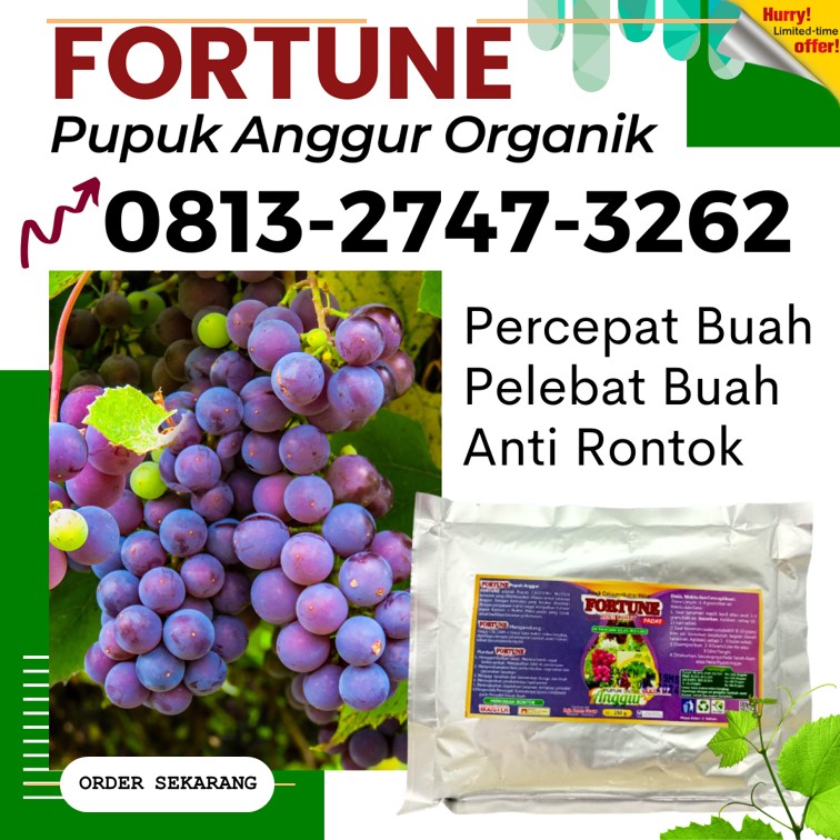 Pusat Pupuk Tanaman Anggur Pandeglang, Distributor Pupuk Untuk Anggur Pandeglang, Produsen Pupuk Alami Buah Anggur Serang, Pabrik Pupuk Pelebat Buah Anggur Ciruas