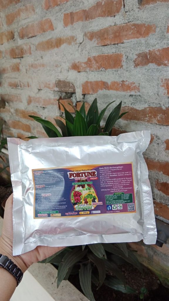 Pusat Pupuk Tanaman Anggur Pandeglang, Distributor Pupuk Untuk Anggur Pandeglang, Produsen Pupuk Alami Buah Anggur Serang, Pabrik Pupuk Pelebat Buah Anggur Ciruas